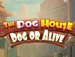 The Dog House – Dog or Alive The Dog House – Dog or Alive