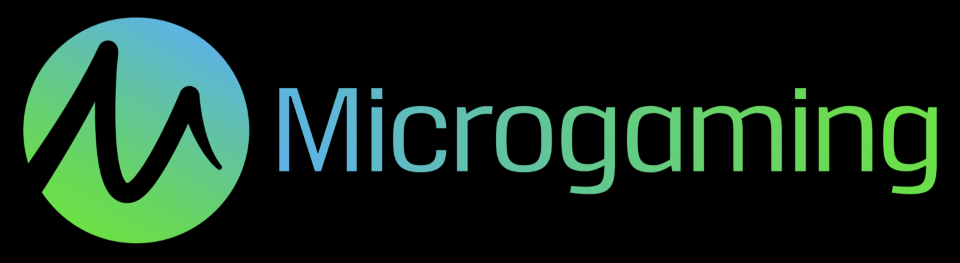 Développeur de jeux Microgaming sur internet en France